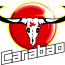 CARABAO CUP FINALIST 2