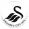 Swansea Tickets