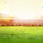 Test 3 Tickets